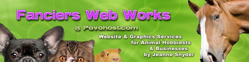 Povohost Website Design, Maintenance & Hosting