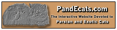 PandECats.com