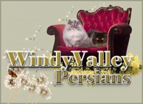 Windy Valley Persians